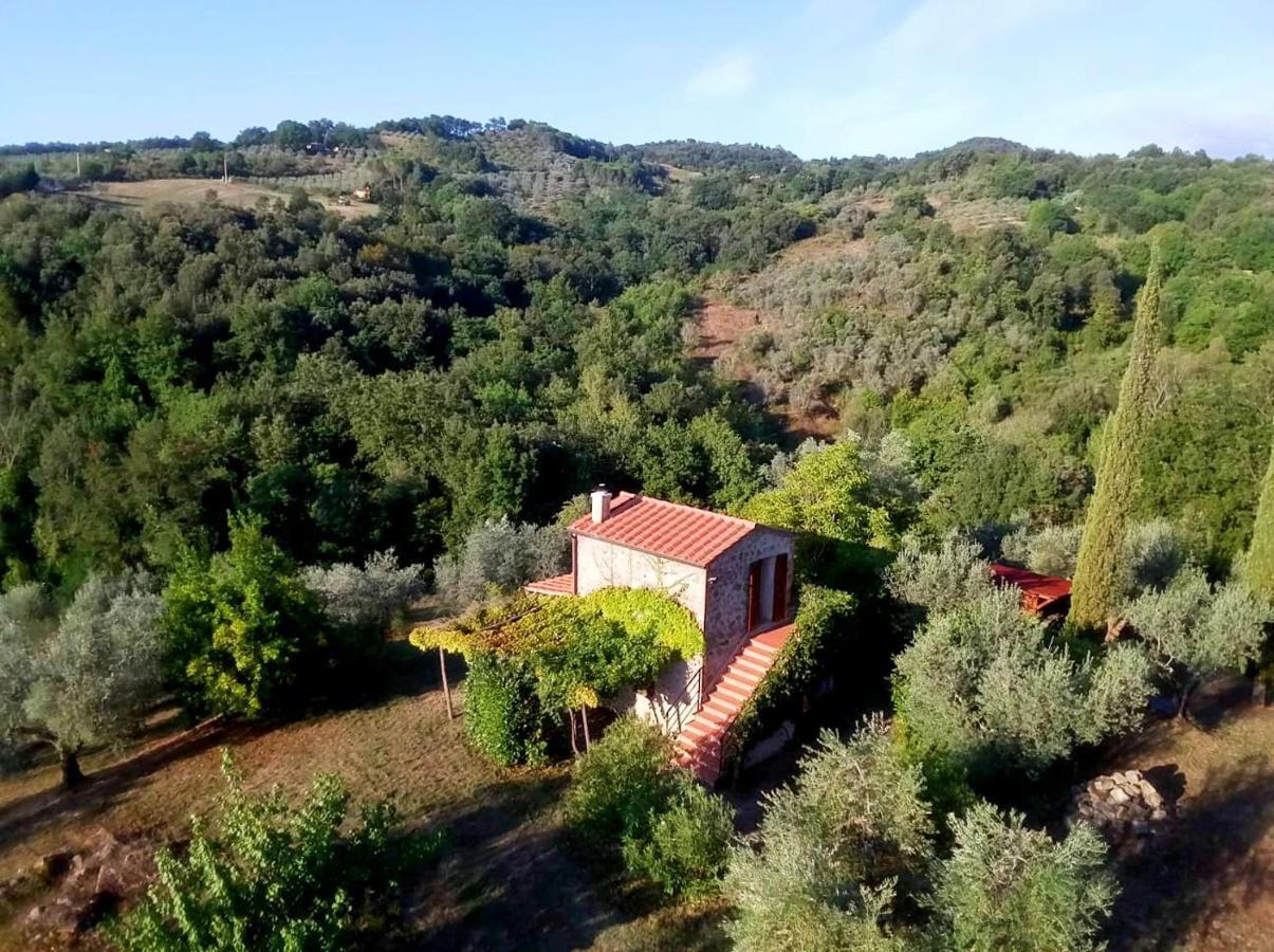 Ferienhaus Il-Pino Villa Roccastrada Exteriör bild