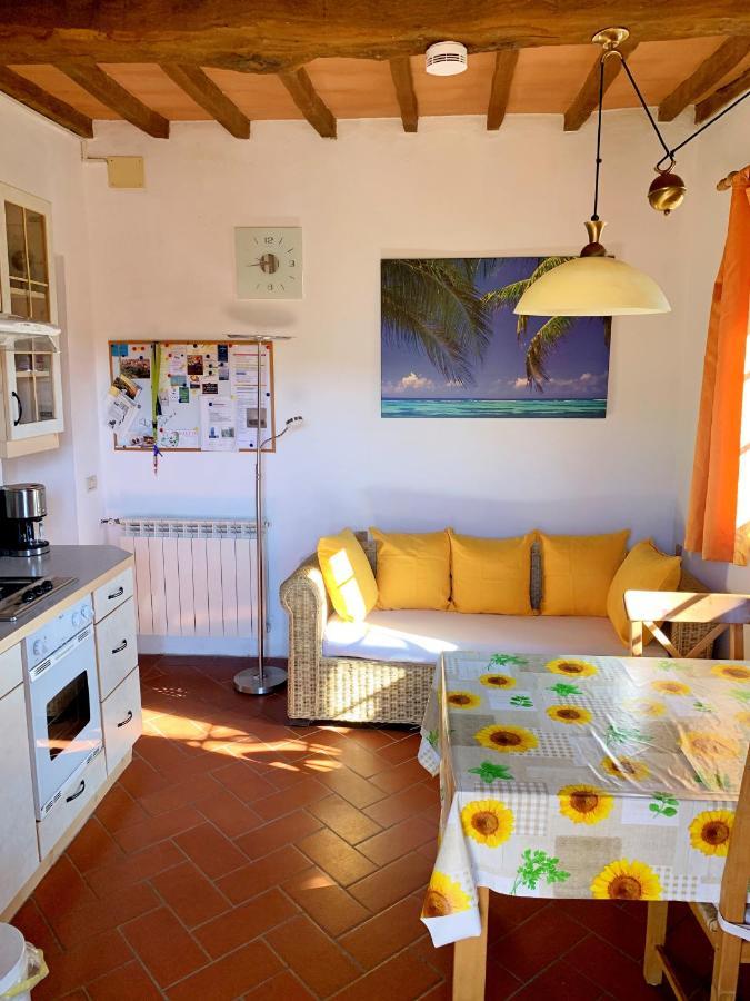 Ferienhaus Il-Pino Villa Roccastrada Exteriör bild