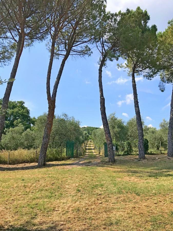 Ferienhaus Il-Pino Villa Roccastrada Exteriör bild